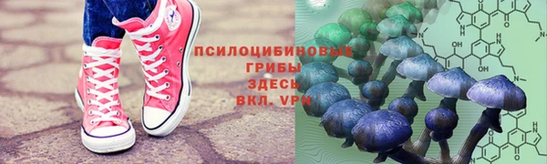 СК Баксан