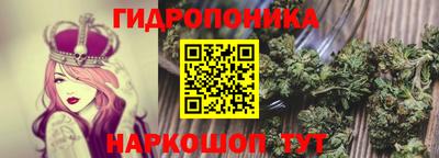 амф Аргун