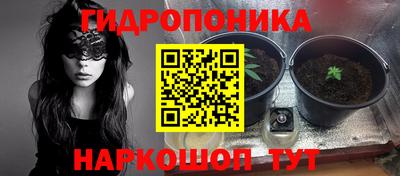 амф Аргун