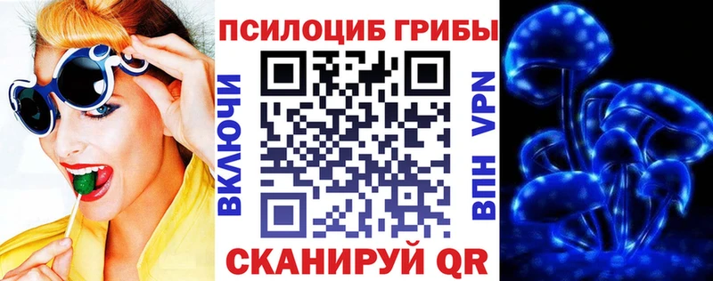 наркота  Бор  Псилоцибиновые грибы Magic Shrooms 