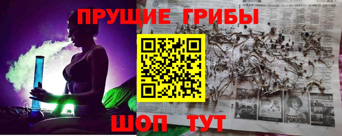 Галлюциногенные грибы Psilocybine cubensis Бор