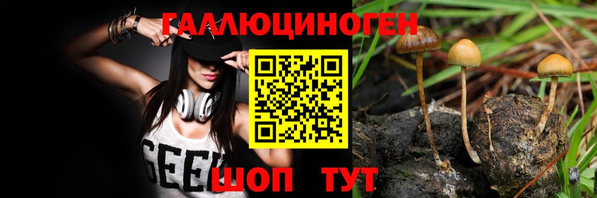 Псилоцибиновые грибы GOLDEN TEACHER  хочу   Бор  Вход с VPN 