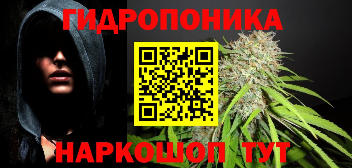 Бор  Шишки марихуана MAZAR  Бошки Шишки план  Шишки марихуана White Widow  Марихуана сатива  Вход с VPN 
